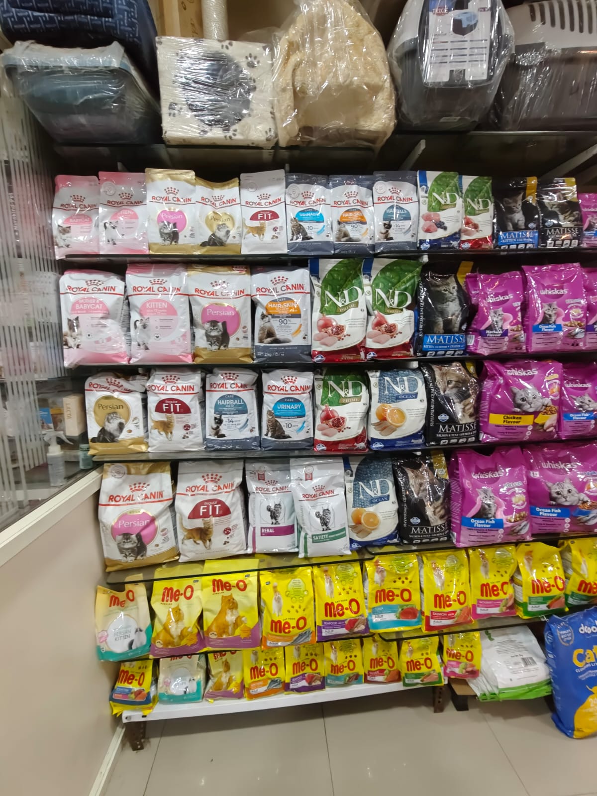 Sarvadnya Pet Care Unit veterinary clinic, Pune